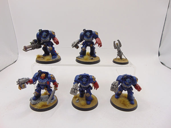 Terminator Squad
