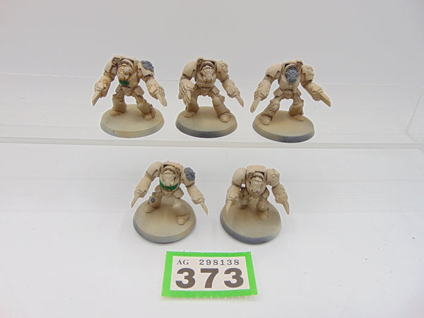Terminator Assault Squad