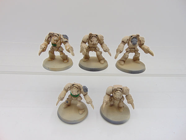 Terminator Assault Squad