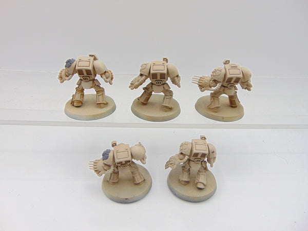 Terminator Assault Squad
