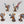 Sanguinary Guard