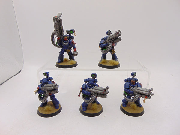 Desolation Squad