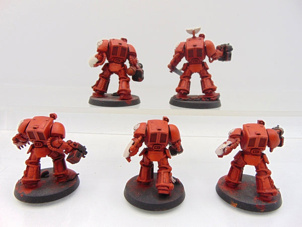 Terminator Squad