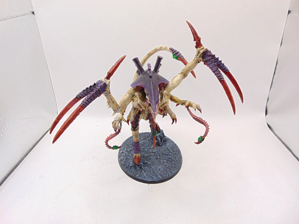 Dimachaeron