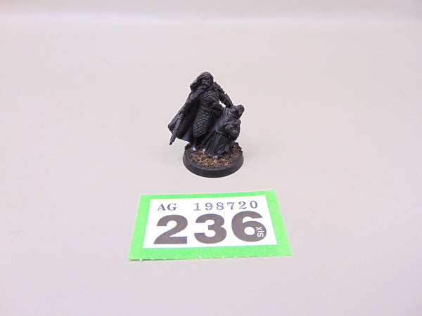 Captain of Rohan