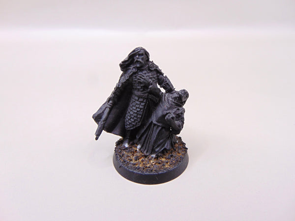 Captain of Rohan