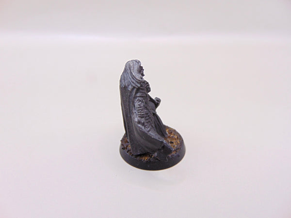 Captain of Rohan
