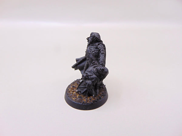 Captain of Rohan
