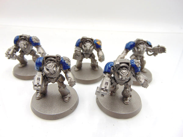 Terminator Squad