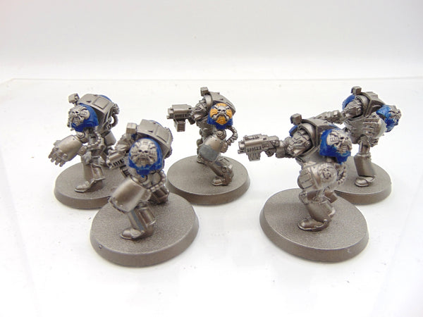 Terminator Squad