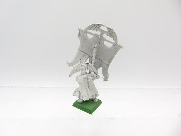 Vampire Counts Battle Standard Bearer