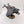 Corvus Blackstar