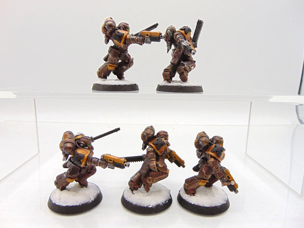 Assault Intercessors