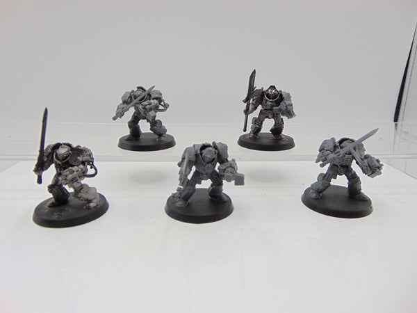 Brotherhood Terminator Squad