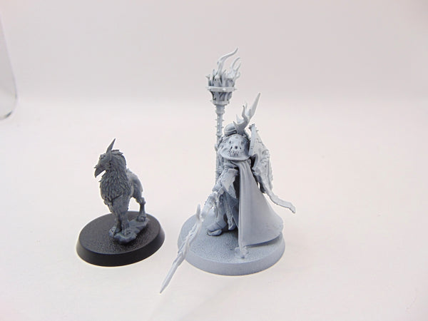 Lord-Veritant with Gryph-crow