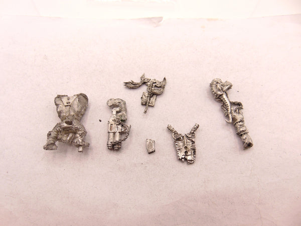 Ork Warboss with Attack Squig
