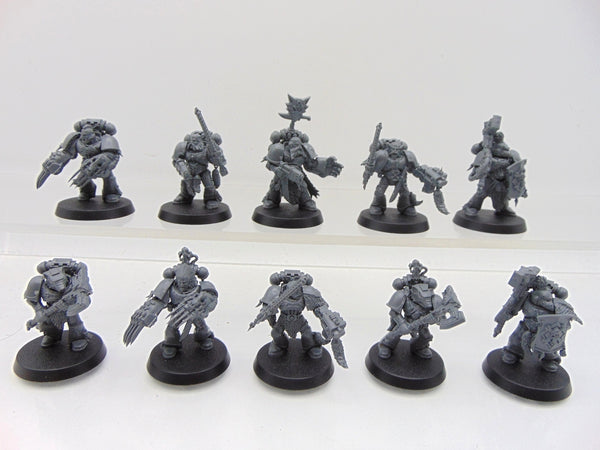 Wolf Guard