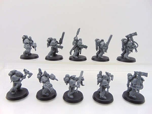 Wolf Guard