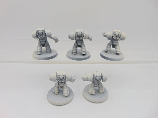 Cataphractii Terminator Squad