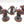 Assault Intercessors