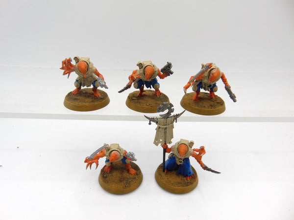 Acolyte Hybrids