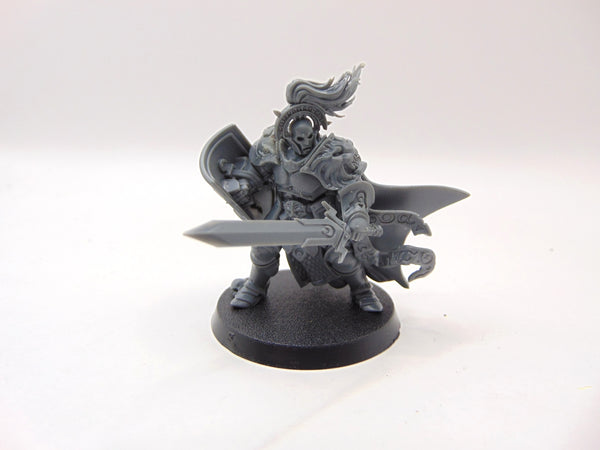 Knight Questor