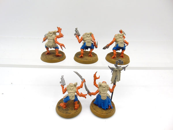 Acolyte Hybrids