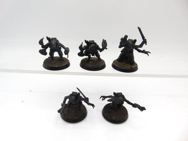 Acolyte Hybrids