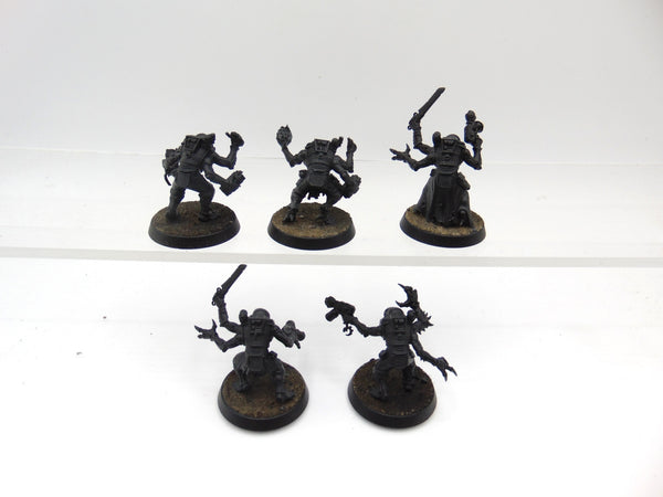 Acolyte Hybrids