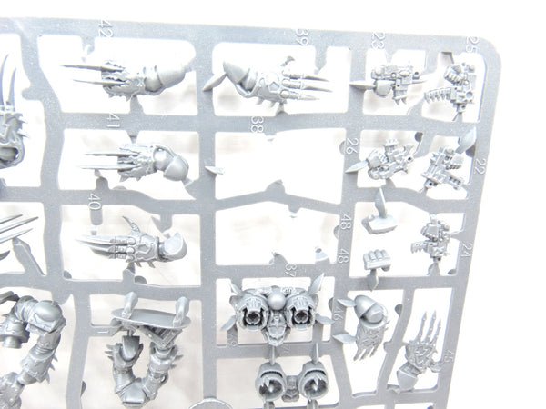 Raptors / Warp Talons