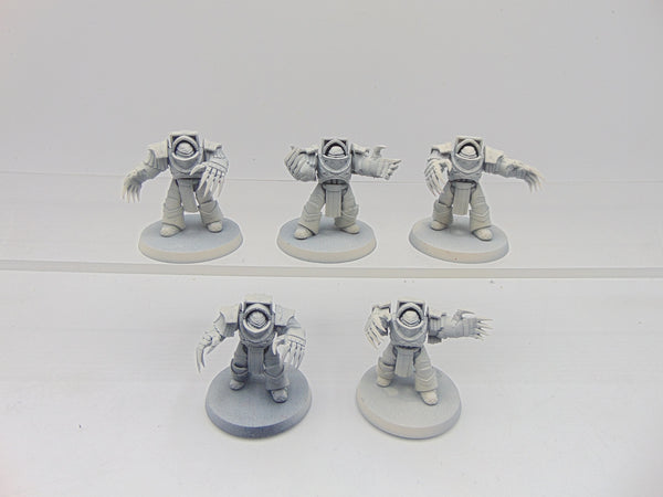 Cataphractii Terminator Squad