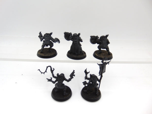 Acolyte Hybrids