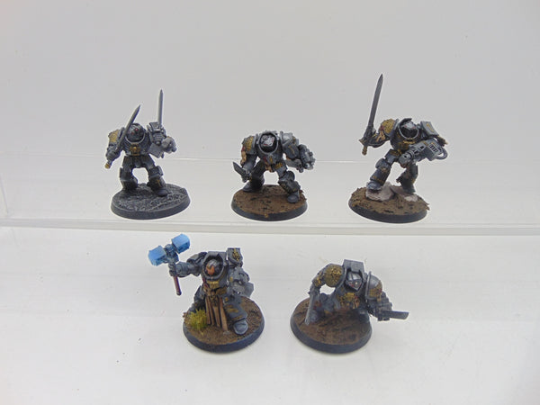 Terminator / Paladin Squad