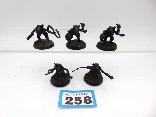 Acolyte Hybrids