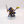 Knight Questor
