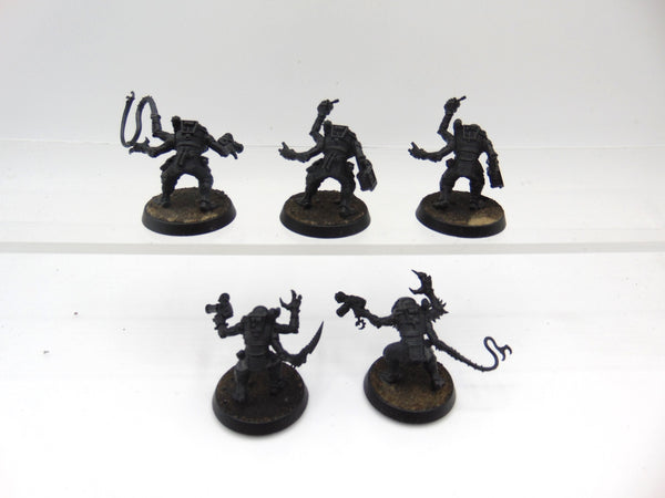 Acolyte Hybrids