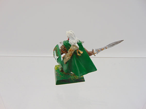 High Elf Hero Selafyn / Phytrion