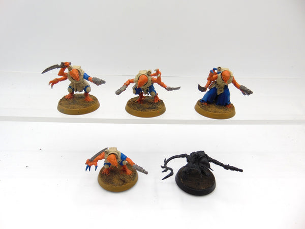 Acolyte Hybrids