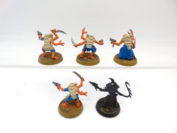 Acolyte Hybrids