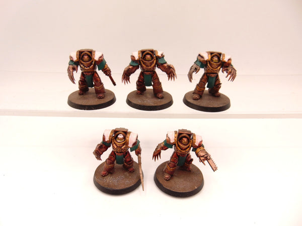 Cataphractii Terminator Squad
