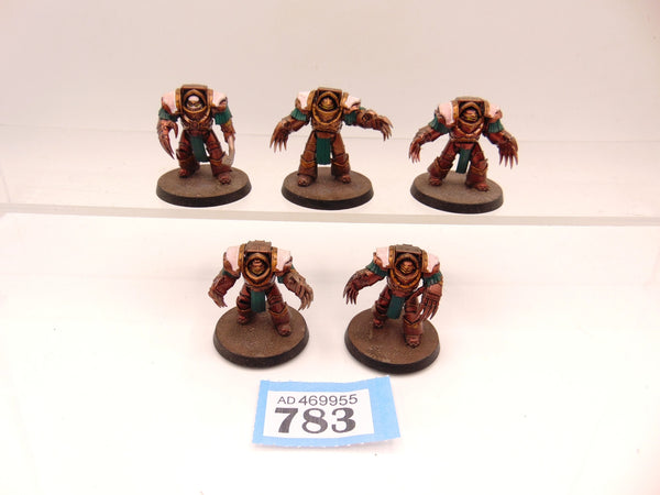 Cataphractii Terminator Squad