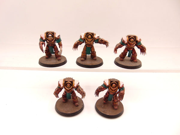 Cataphractii Terminator Squad