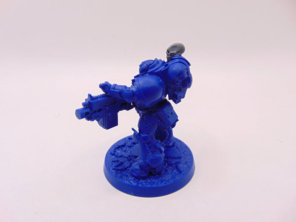 Brother Acules / Vorne