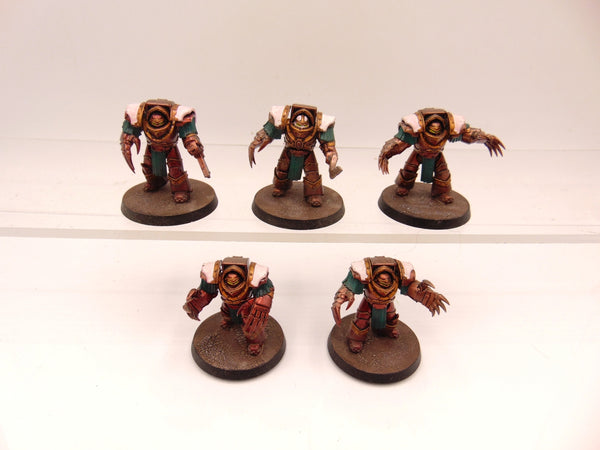 Cataphractii Terminator Squad