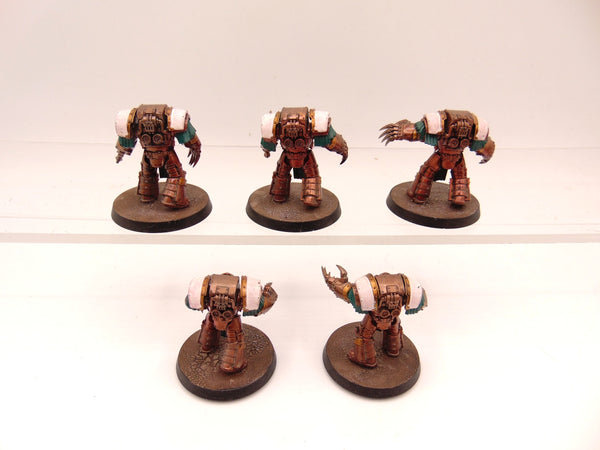 Cataphractii Terminator Squad