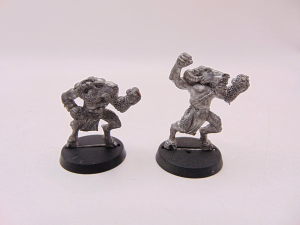 Blood Bowl Beastmen