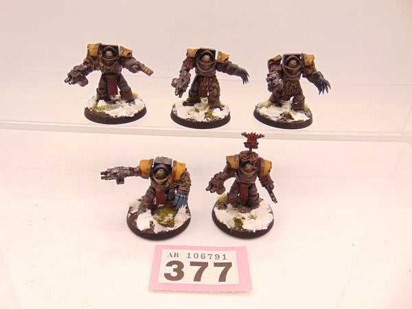 Cataphractii Terminator Squad