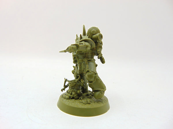 Kholerus
