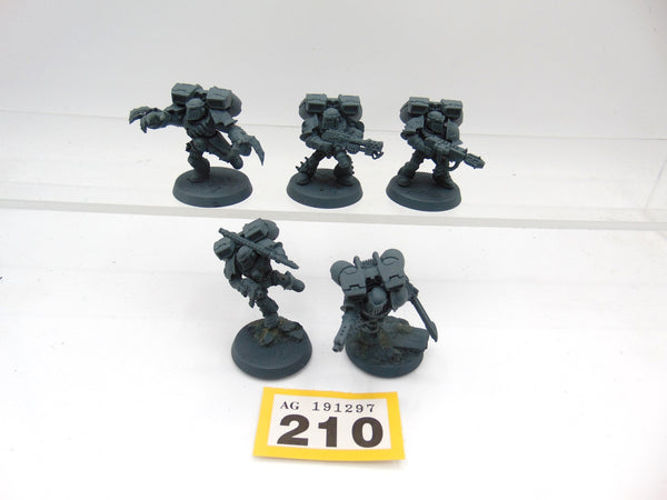 Raptors Conversion
