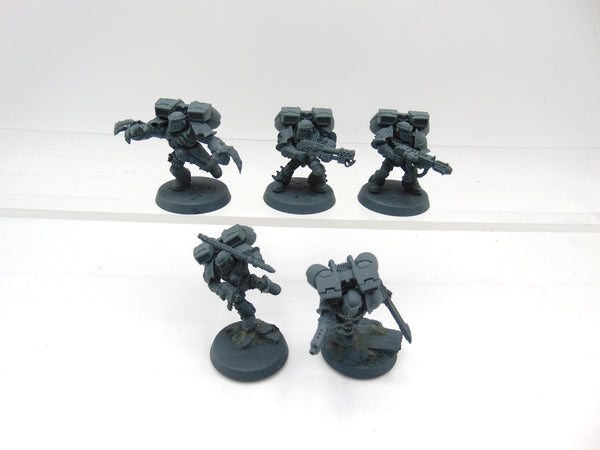 Raptors Conversion
